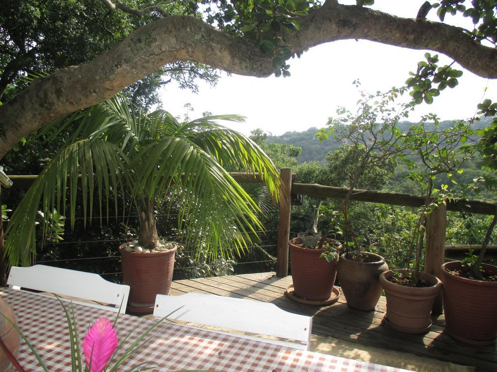 Utopia In Africa Guest Villa Mbombela Exteriér fotografie
